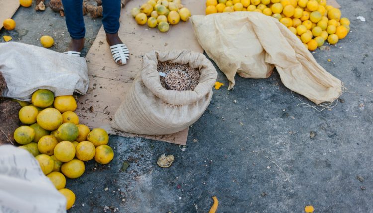 organik tarim ve gida guvenligi organik tarim urunleri nasil daha guve