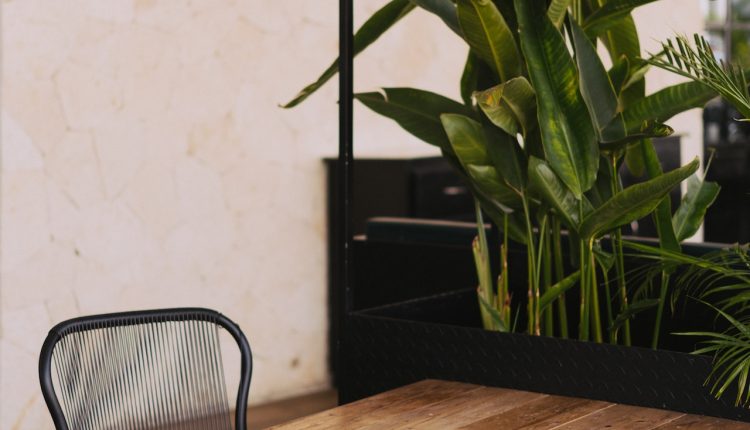 bistro masa kiralama 2